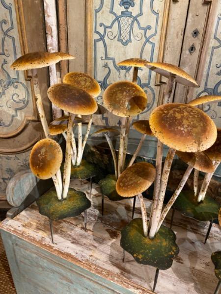 Groupes de champignons en métal XX ème
