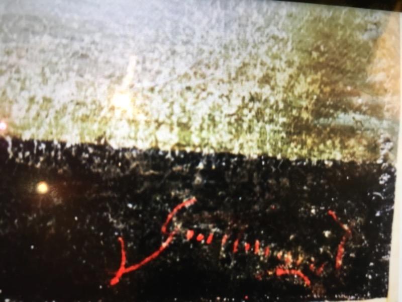 HST corbeille de fruits début XIX non encadrée et réentoilée 