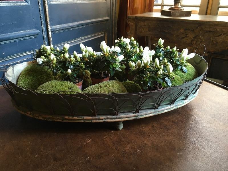 Jardinière de forme oblongue, avec son intérieur en zinc XIX ème 