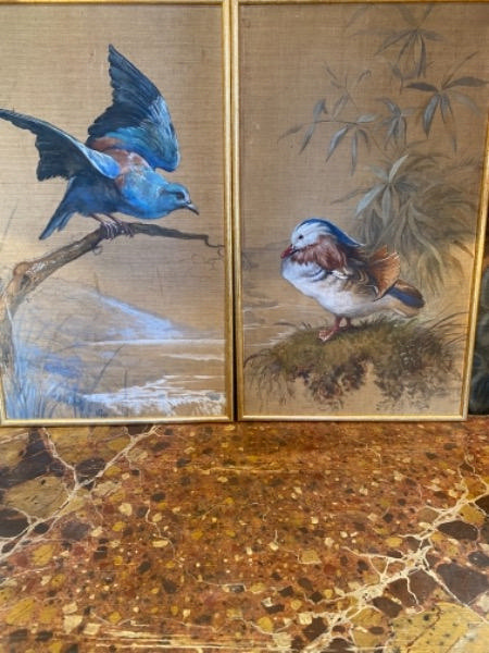 Suite de 4 oiseaux peints marouflés sur bois XX ème